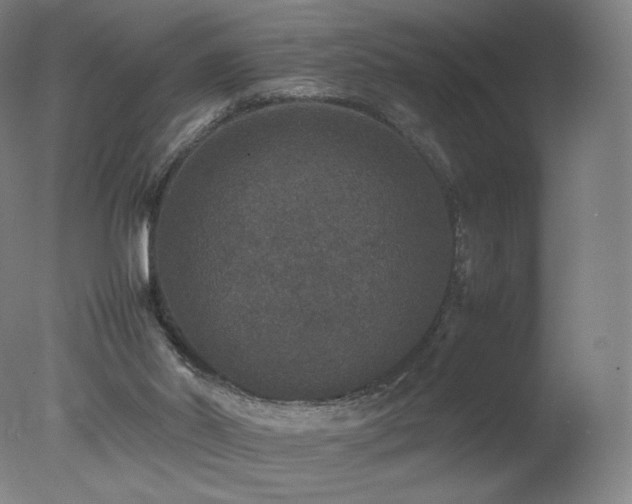 X0000078020014200610271246