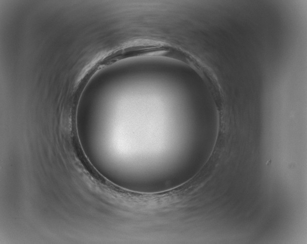 X0000078020015200610271246