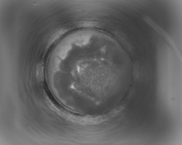 X0000078020016200610271246