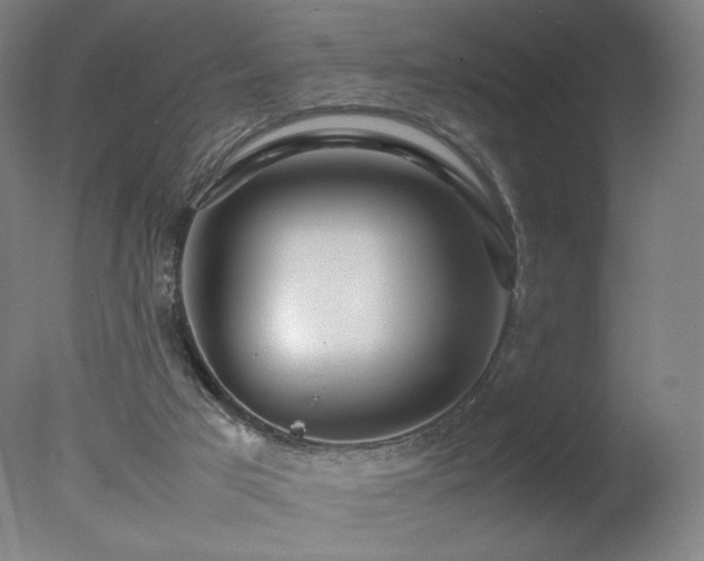 X0000078020017200610271246