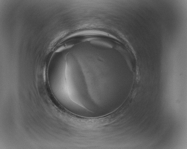 X0000078020019200610271245