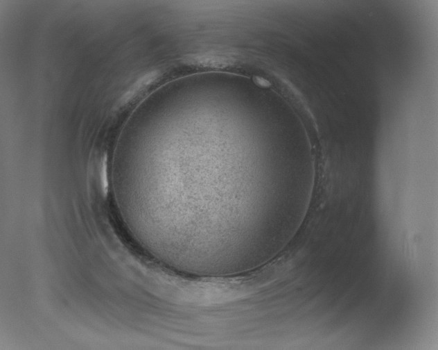 X0000078020020200610271245