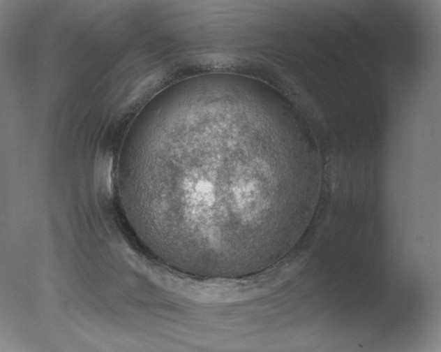 X0000078020024200610271245