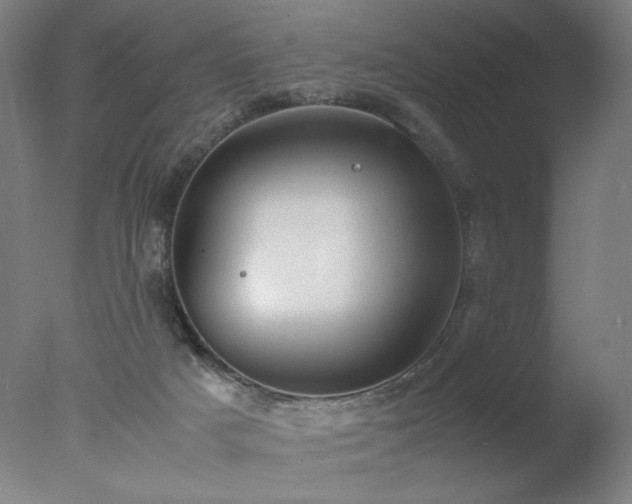 X0000078020025200610271245