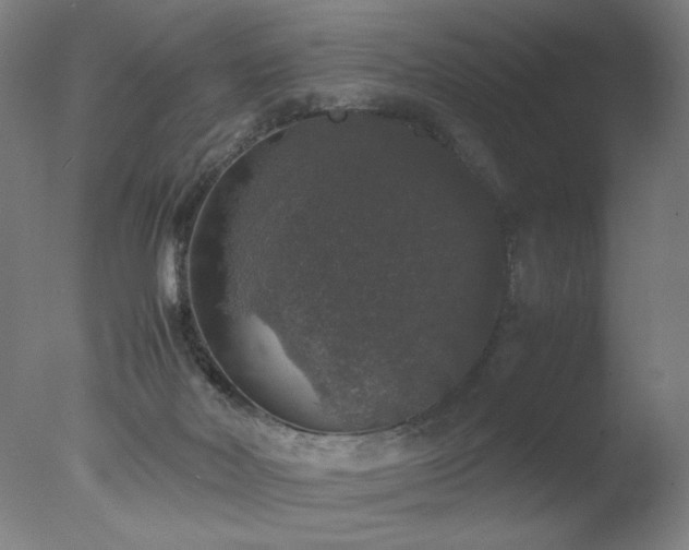 X0000078020026200610271245