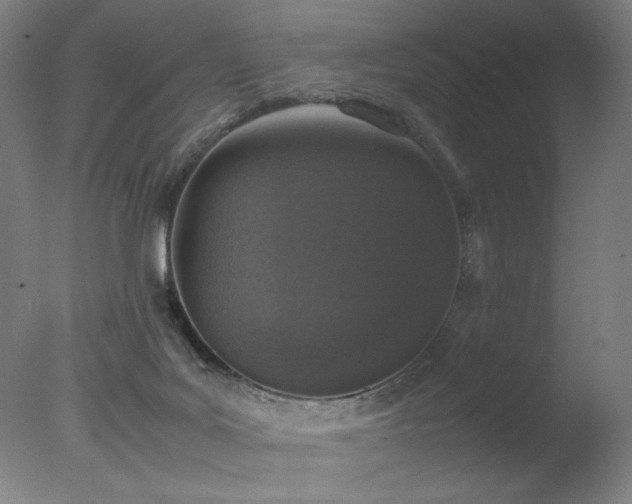 X0000078020027200610271245