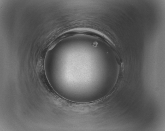 X0000078020029200610271245