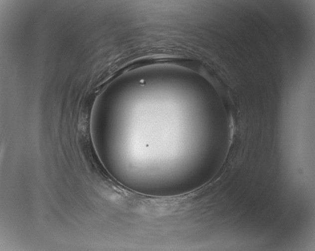 X0000078020033200610271245