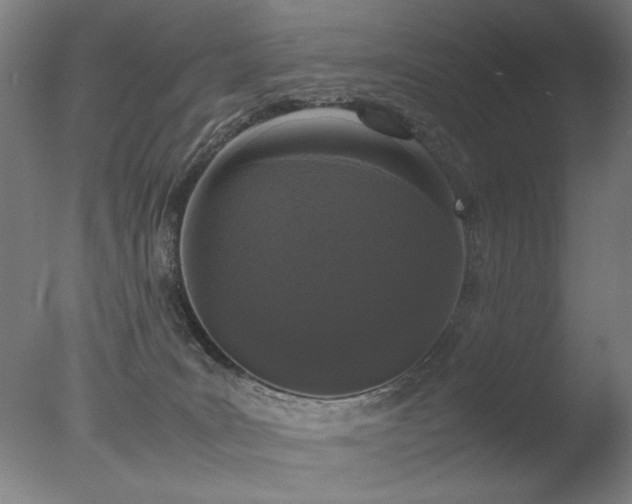 X0000078020035200610271245