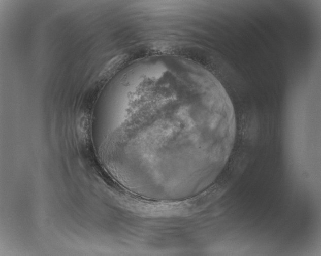 X0000078020036200610271245