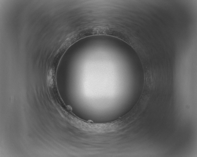 X0000078020038200610271245