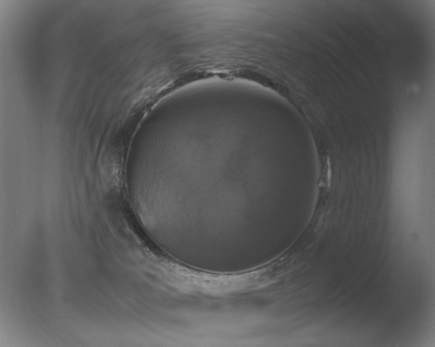 X0000078020039200610271245