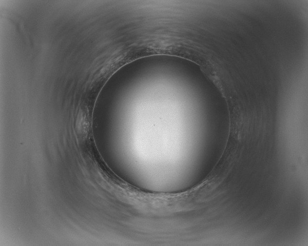 X0000078020040200610271245