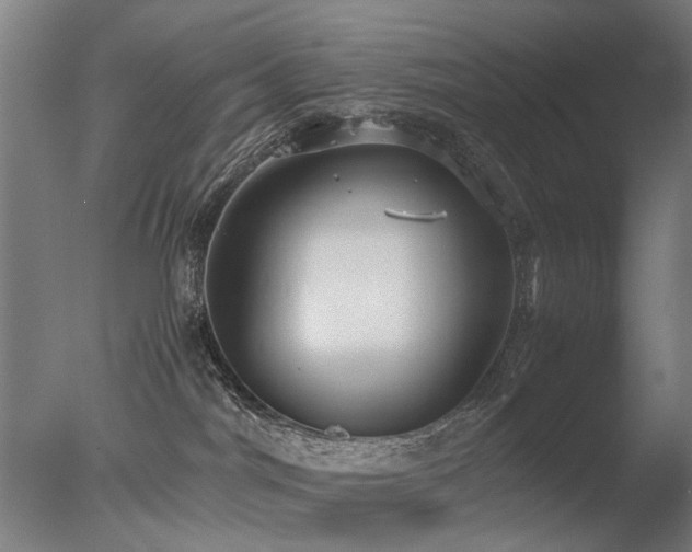 X0000078020044200610271245