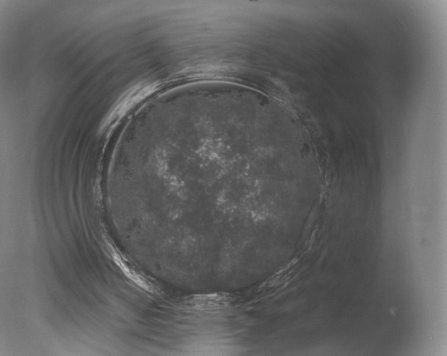 X0000078020050200610271244