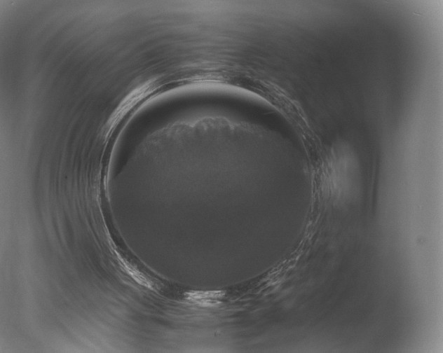 X0000078020051200610271244