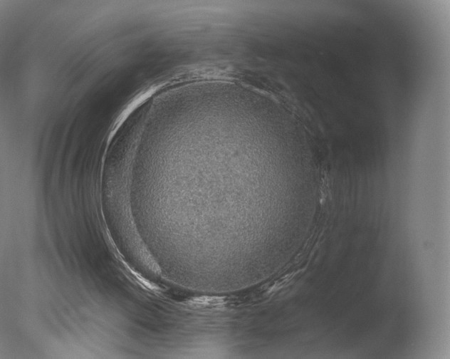 X0000078020052200610271244