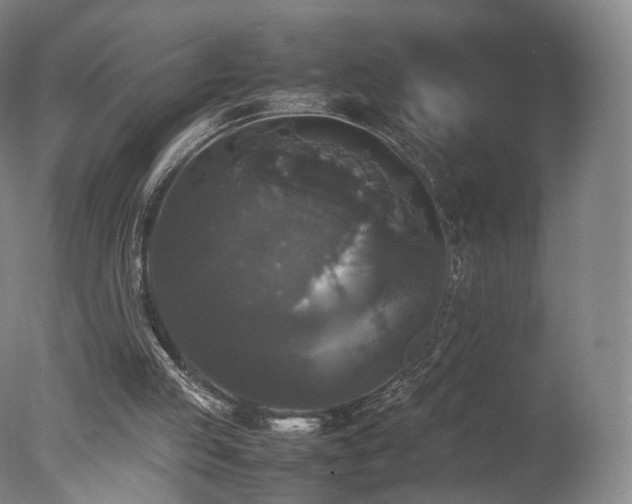 X0000078020053200610271244