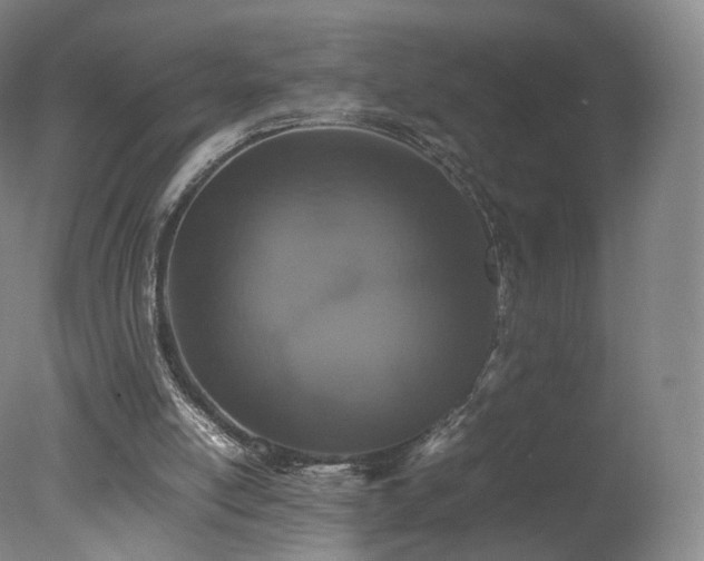 X0000078020054200610271244