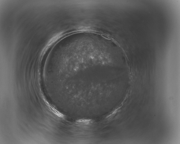 X0000078020055200610271244