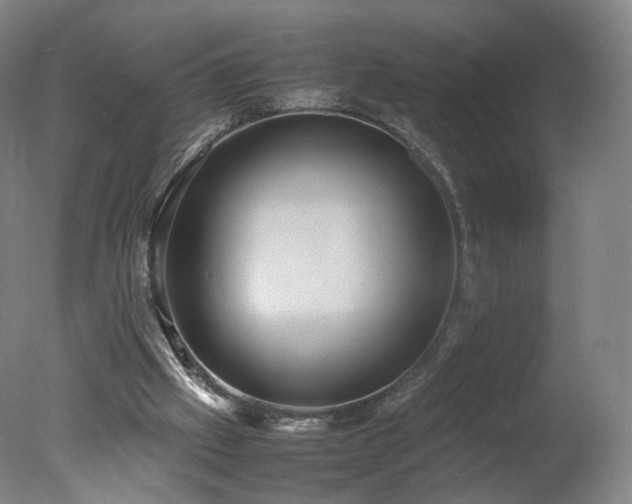 X0000078020057200610271244