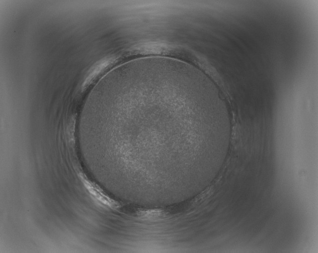 X0000078020058200610271244