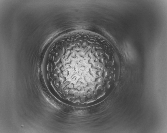 X0000078020059200610271244