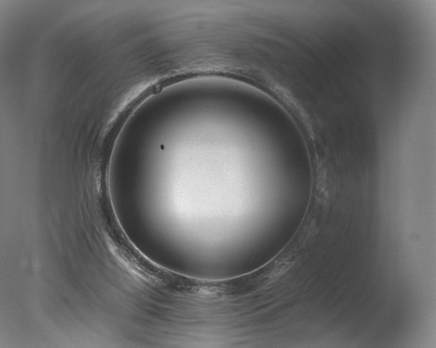 X0000078020060200610271244