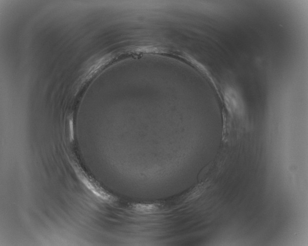 X0000078020061200610271244