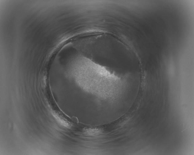 X0000078020063200610271244