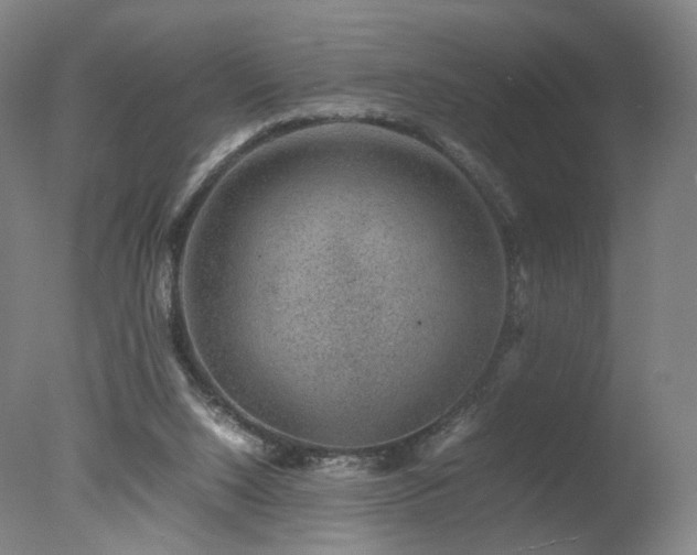 X0000078020064200610271244