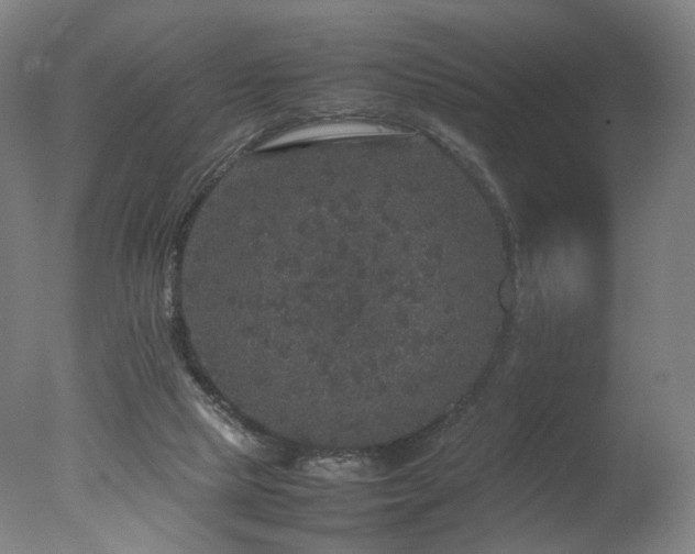 X0000078020065200610271244