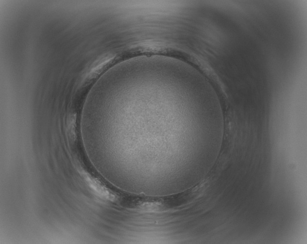 X0000078020066200610271244