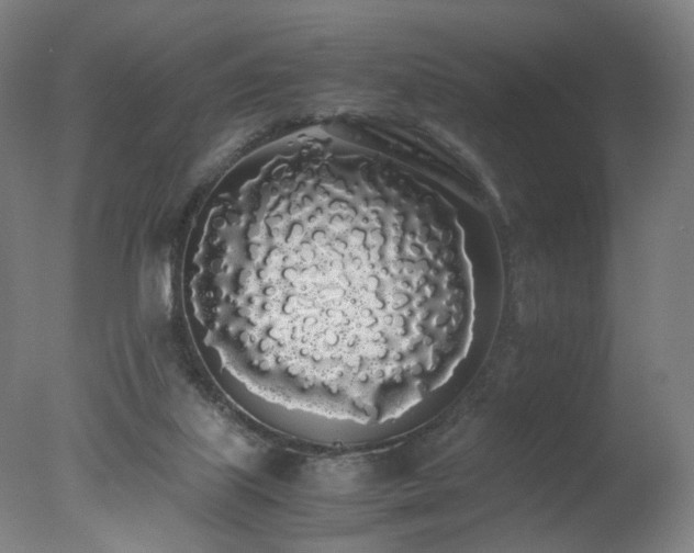 X0000078020067200610271244