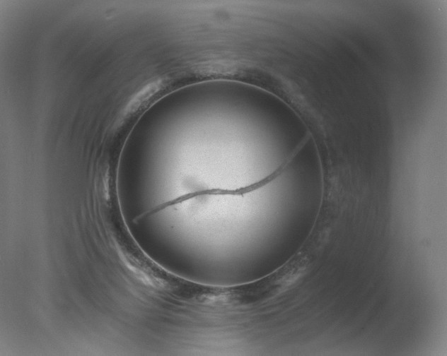 X0000078020068200610271244