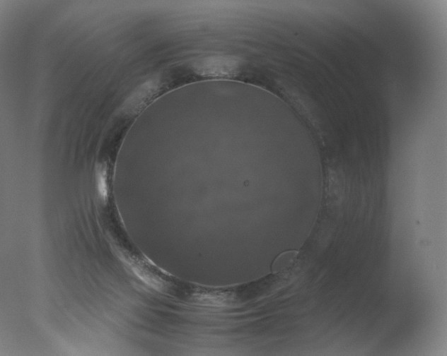 X0000078020069200610271245