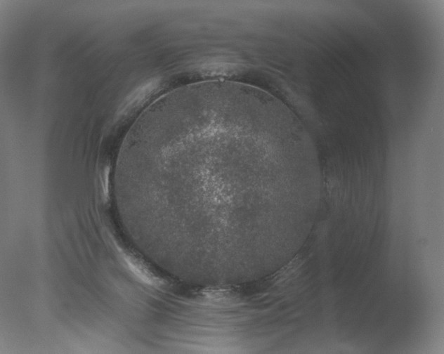 X0000078020070200610271245