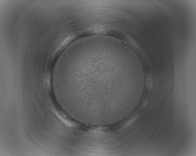 X0000078020072200610271245