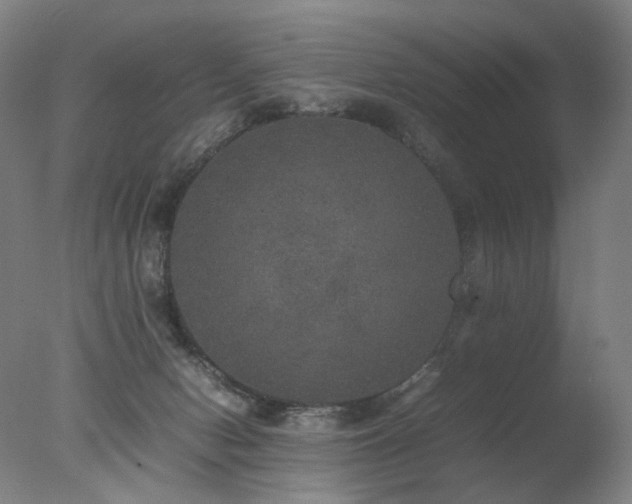 X0000078020078200610271245