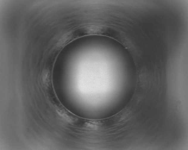 X0000078020079200610271245