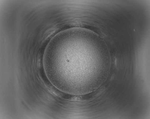 X0000078020080200610271245