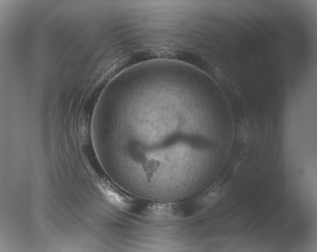 X0000078020084200610271245