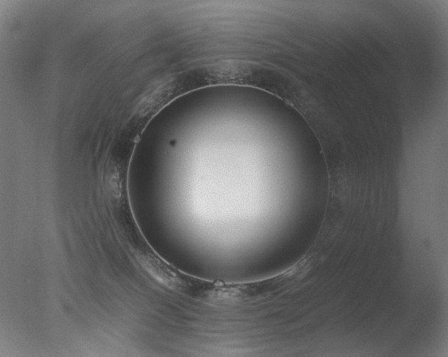 X0000078020086200610271245