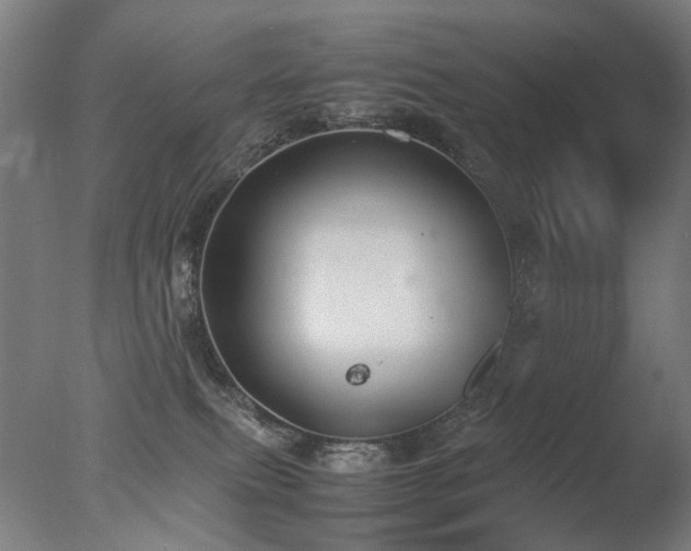 X0000078020087200610271245