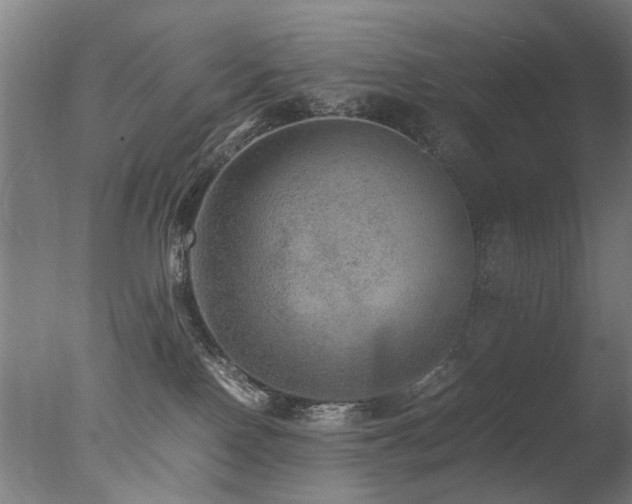 X0000078020090200610271245