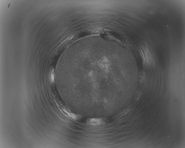 X0000078020095200610271245