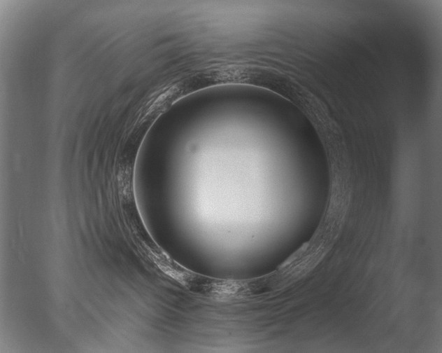 X0000078020096200610271245