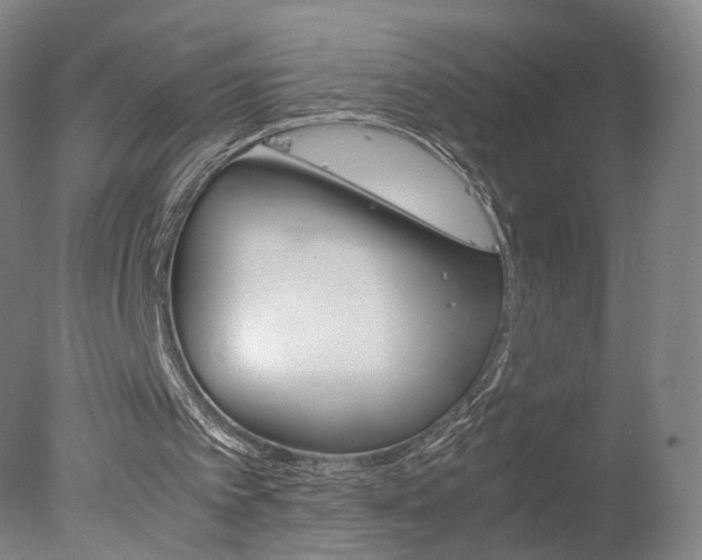 X0000078020097200610271244