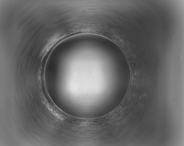 X0000078020098200610271244