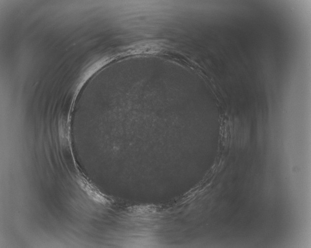 X0000078020100200610271244